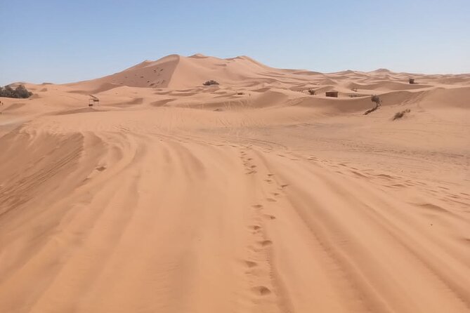 4WD Agadir Day Trip to Massa - What the private 4x4 setup means for you