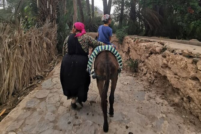 Agadir Day Trip to Taroudant and Tiout Oasis with Lunch - The road to Tiout and lunch in the oasis