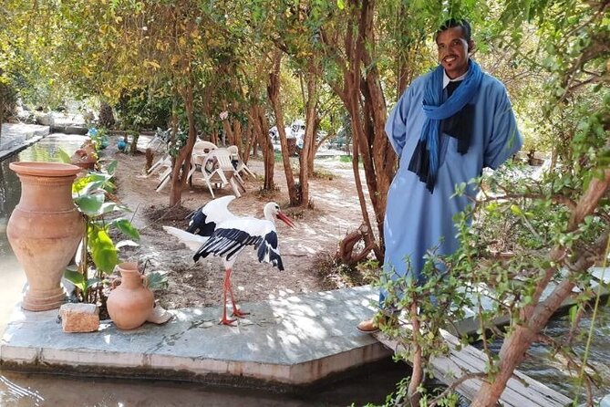 Agadir Day Trip to Taroudant and Tiout Oasis with Lunch - Walking among palms and visiting the kasbah