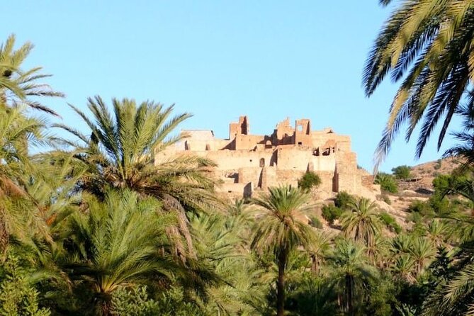 Agadir Day Trip to Taroudant and Tiout Oasis with Lunch - The guide and group size