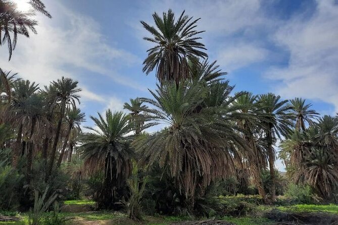 Agadir Day Trip to Taroudant and Tiout Oasis with Lunch - What the $40.65 price really covers