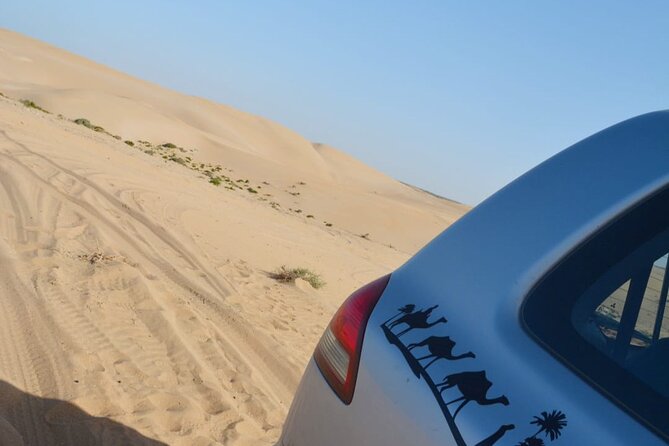 Agadir Jeep Safari Desert Day Trip including Lunch & camel ride - The camel ride: a short taste, not a full expedition