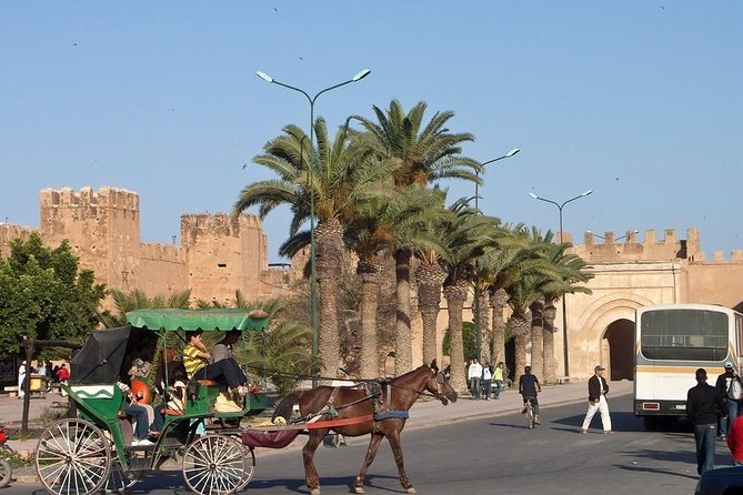 Agadir Morocco: Day Trip To Taroudant & Tiout Oasis with Lunch - Walking through Tiout Oasis