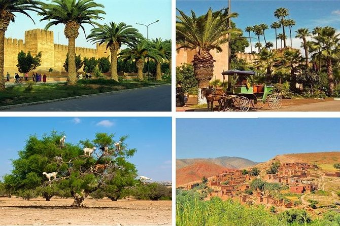 Agadir Morocco: Day Trip To Taroudant & Tiout Oasis with Lunch - From Agadir to the argan trees