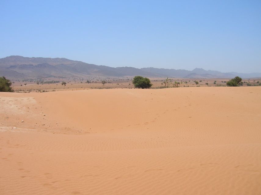 Agadir/Taghazout/Port: Sahara Desert 4x4 Day Trip with Lunch - Argan oil, pottery, and the shopping question