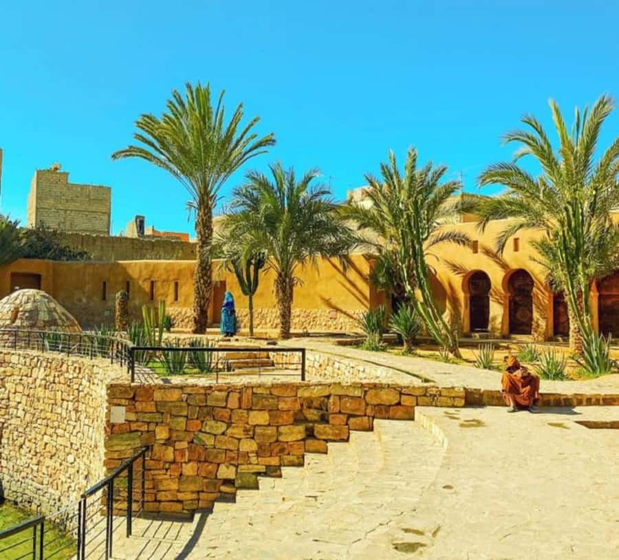 Agadir: Taroudant Oasis and Tiout Day Trip with Lunch Option - Guides, drivers, and the human side of the day