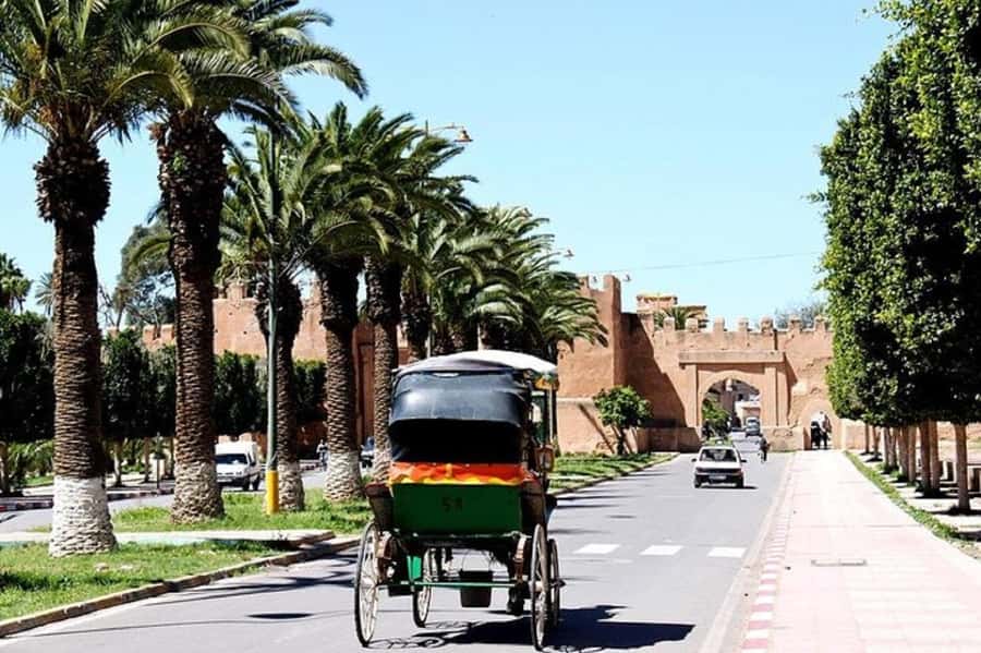 Agadir: Taroudant Oasis and Tiout Day Trip with Lunch Option - Who should book this Agadir day trip?