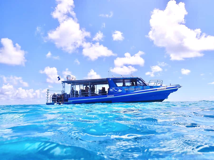 Agnes/1770: Southern Great Barrier Reef Snorkelling Day Trip - Key points to know before booking