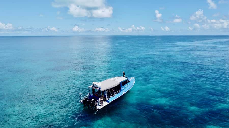 Agnes/1770: Southern Great Barrier Reef Snorkelling Day Trip - Why the Southern Great Barrier Reef feels different
