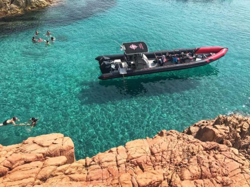 Ajaccio/Porticcio: Scandola & Piana Semi-Rigid Boat Day Trip - Who will enjoy this boat day most