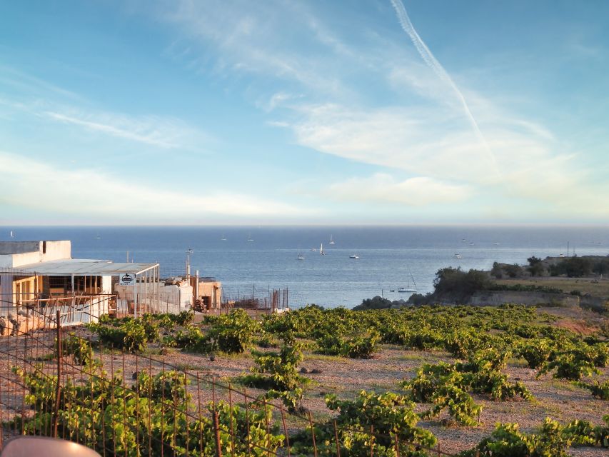 Akrotiri: Guided Horseback Riding Day Trip to a Beach - Key points to know before you book
