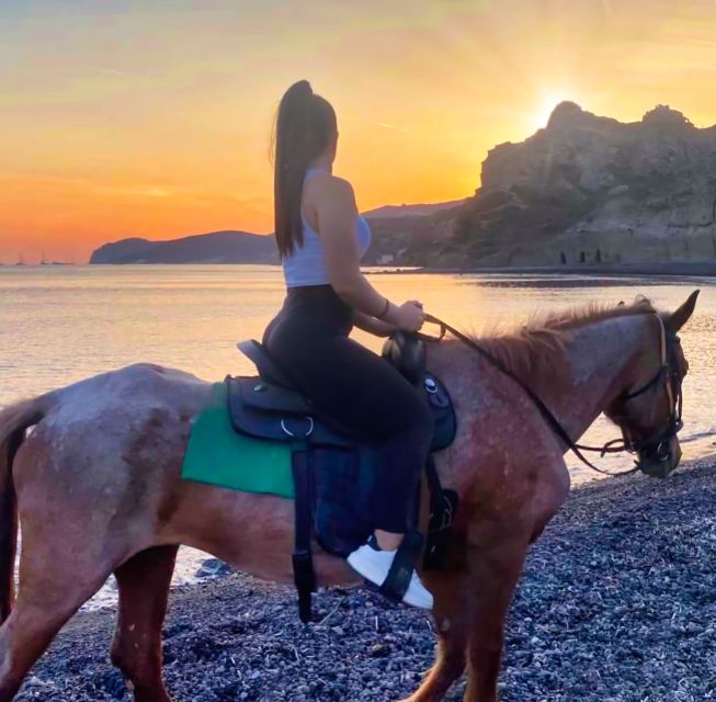 Akrotiri: Guided Horseback Riding Day Trip to a Beach - Who should book this Santorini ride?