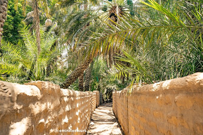 Al Ain Full Day Trip from Abu Dhabi with Lunch - The palace stop and an important change