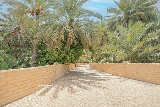 Al Ain Full Day Trip from Abu Dhabi with Lunch - Hot springs, with expectations kept modest