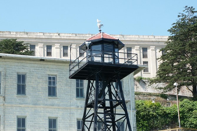 Alcatraz Tour Plus Muir Woods and Sausalito Day Trip - Walking beneath the redwoods at Muir Woods