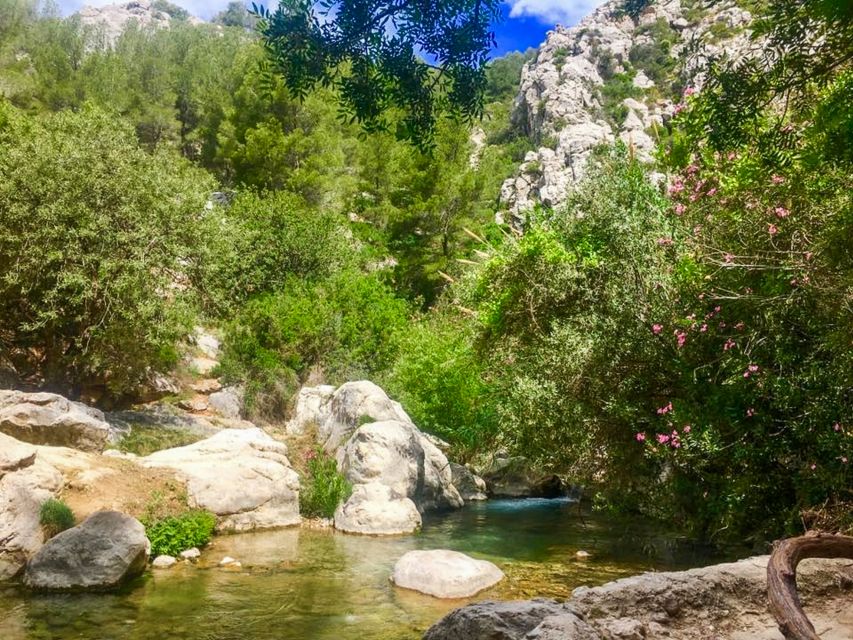 Algar Waterfalls Coach Trip - From Albir & Benidorm - Crowds, timing, and the feel of the visit