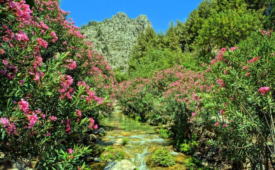 Algar Waterfalls Coach Trip - From Albir & Benidorm - Food, drinks, and time outside the falls
