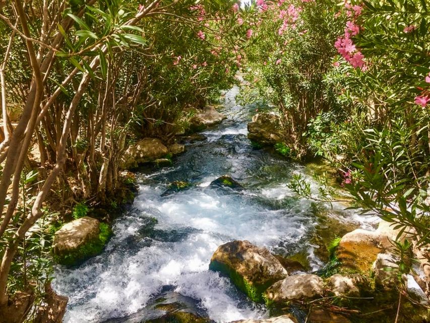 Algar Waterfalls Coach Trip - From Albir & Benidorm - The guide and organisation