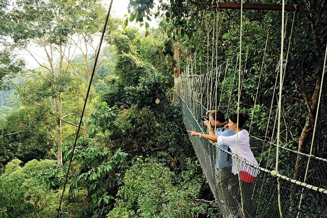 Amazing Taman Negara Day Trip from Kuala Lumpur Including Lunch - The long road from Kuala Lumpur to Taman Negara
