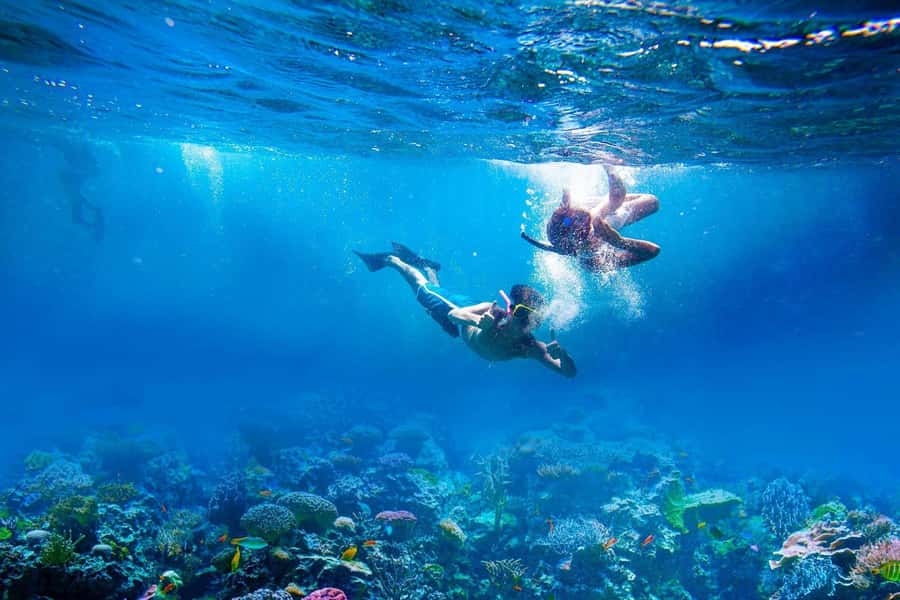Amed: Tirta Gangga, Jemeluk Bay, & Virgin Beach Day Trip - Lunch is flexible, but not included