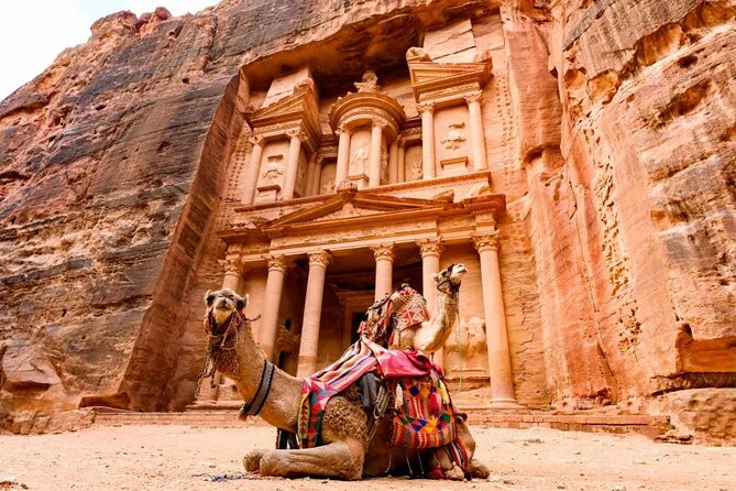 Amman Petra Full-Day Trip - Why the driver can make or break this long day