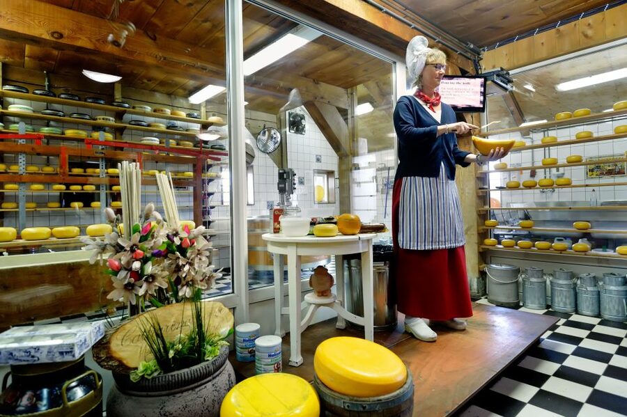 Amsterdam: Day Tour Keukenhof and Zaanse Schans Windmills - Why this day trip works so well