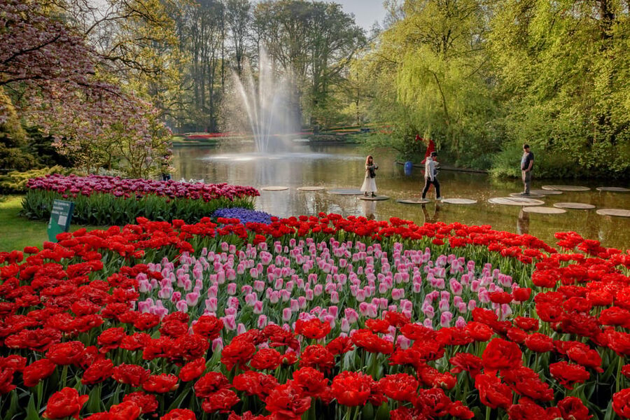Amsterdam: Day Tour Keukenhof and Zaanse Schans Windmills - The 45-minute ride to Keukenhof