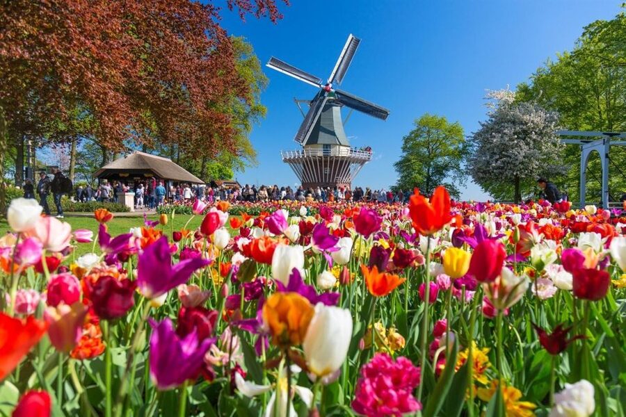 Amsterdam: Day Tour Keukenhof and Zaanse Schans Windmills - Small details that make the day easier