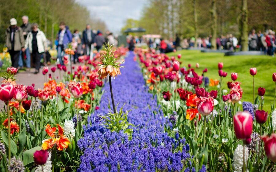 Amsterdam: Day Tour Keukenhof and Zaanse Schans Windmills - Getting to This is Holland from Amsterdam Central