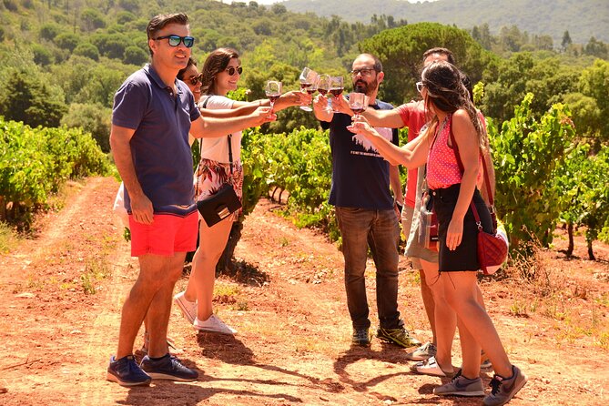 Arrabida and Sesimbra Small-Group Day Trip from Lisbon with Wine Tasting - A different wine setting at Quinta do Alcube