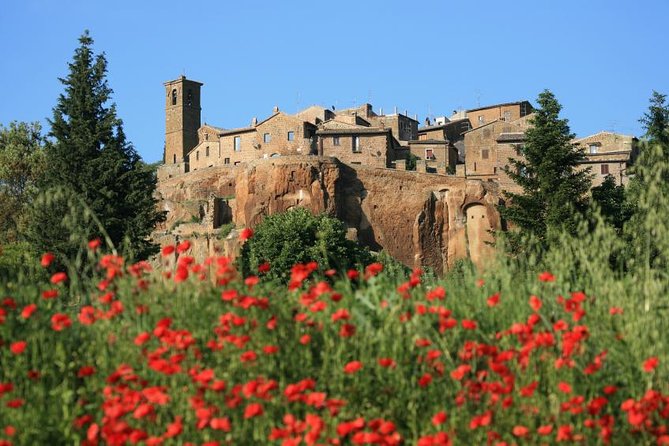 Assisi and Orvieto Guided Day Tour from Rome with Lunch - Orvieto and its Gothic cathedral