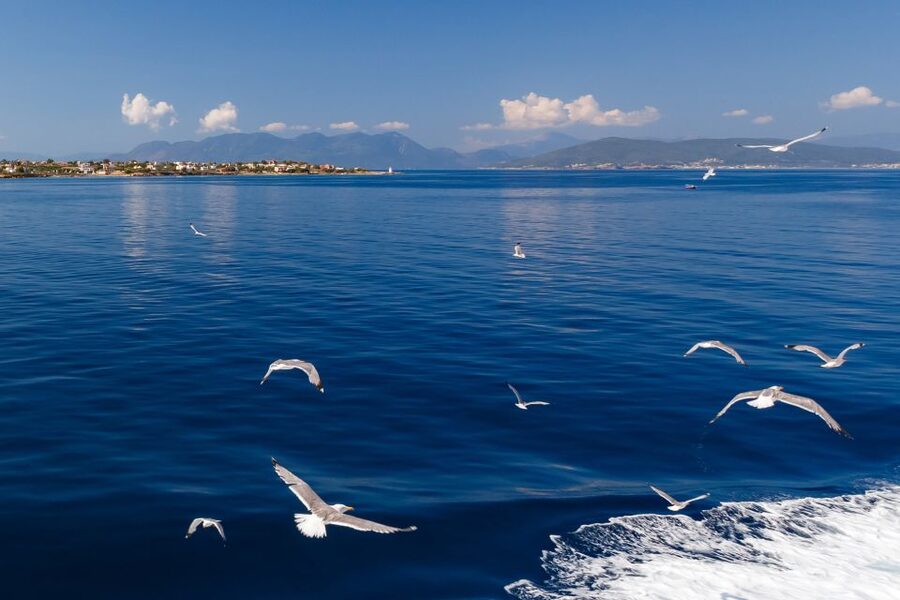 Athens: Guided Day Trip to Aegina Island with Swimming - Who will enjoy this day most