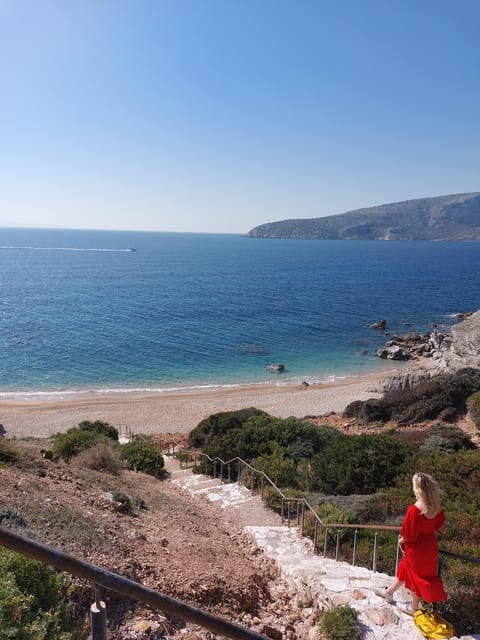 Athens: Sounio Poseidon Temple and Athenian Riviera Day Trip - What the guides add to the experience