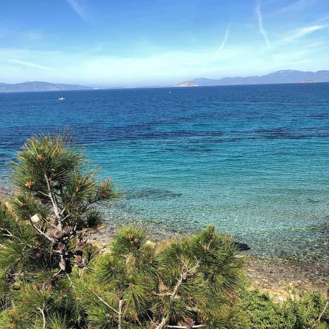 Athens to Aegina: Greek Island Escape & Swim Day Trip - Who should book this Aegina excursion