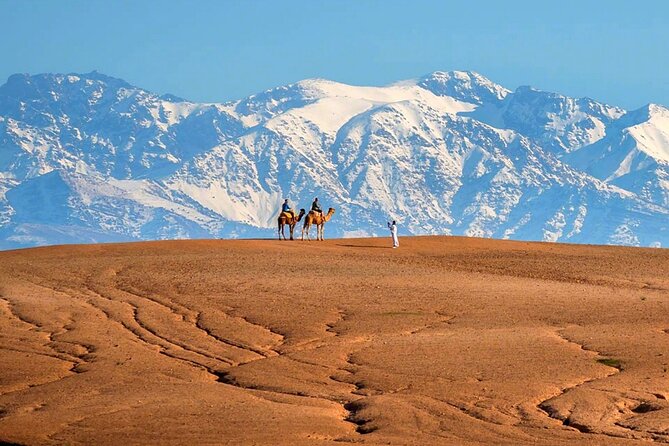 Atlas Mountains and Three Valleys & Waterfalls - Villages Marrakech Day Trip - Why the guide can make or break the day