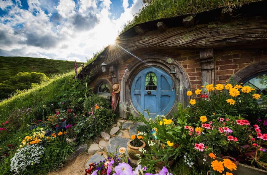 Auckland: Hobbiton Movie Set Day Trip with Festive Lunch - Why the Auckland to Hobbiton trip works