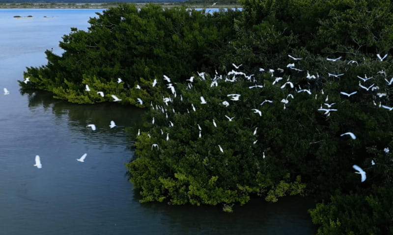 Bacalar: Lagoon, Pirate Canal, Stromatolite Day Trip w/Lunch - Swimming at Cenote Negro