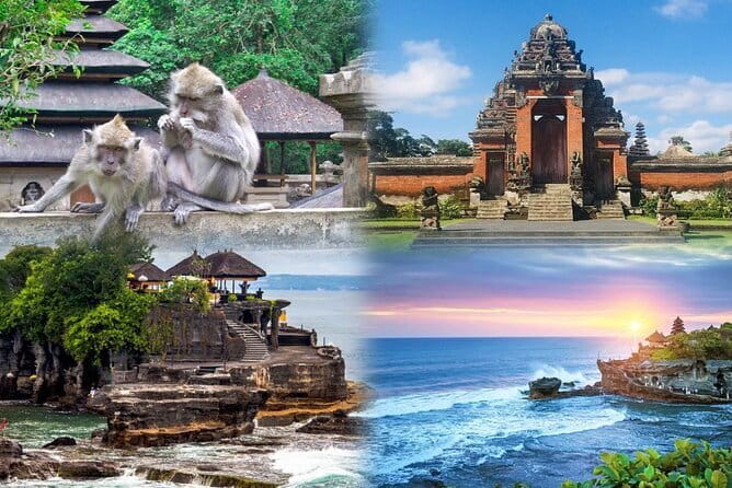 Bali Day Trip: Bali Instagram Tour (All Inclusive & Private) - The Bali swing and bird nest