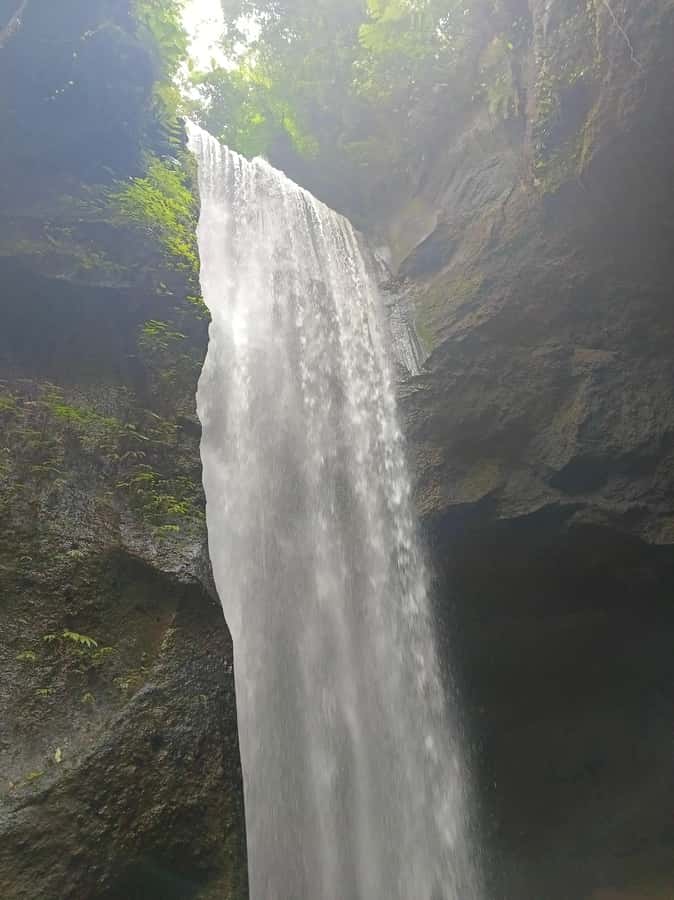 Bali : Day Trip to Besakih Temple & 2 Hidden Waterfalls - Key points to know before you book