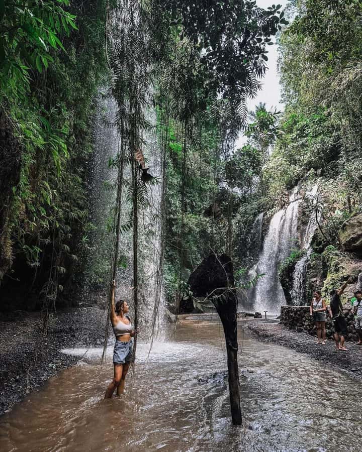 Bali : Day Trip to Besakih Temple & 2 Hidden Waterfalls - What the $40 price really buys you