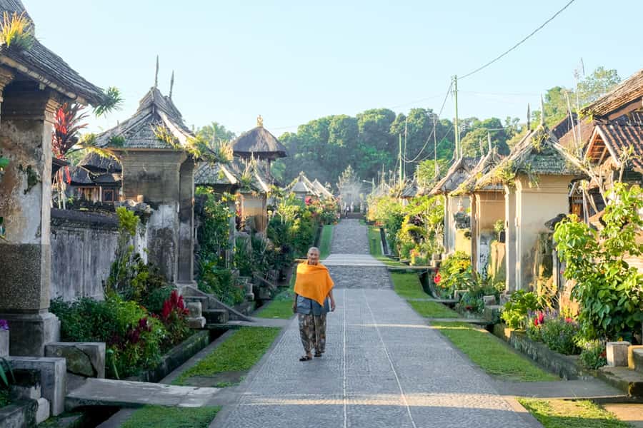 Bali: Full-Day Trip to Penglipuran Village and Bamboo Forest - Walking through the bamboo forest
