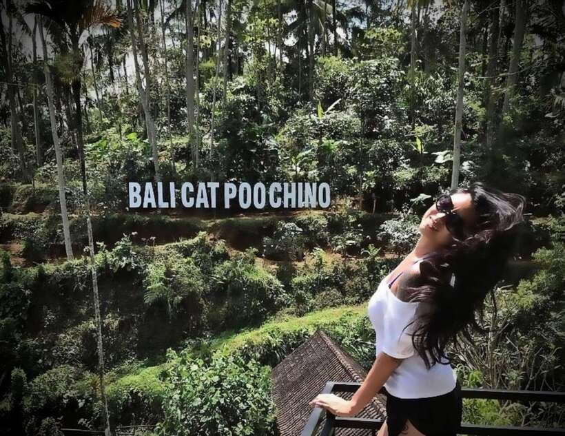 Bali: Private Full day trip Customizable tour - Pickup areas and planning the route