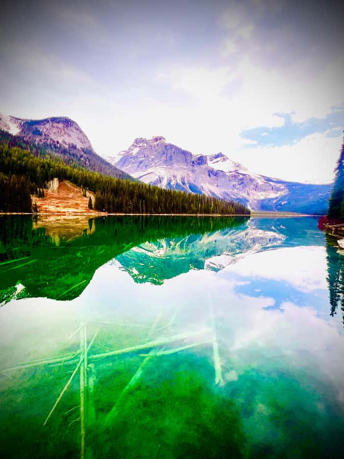 Banff: Lake Louise, Moraine, Emerald Lake & Canyon Day Trip - Natural Bridge and Johnston Canyon