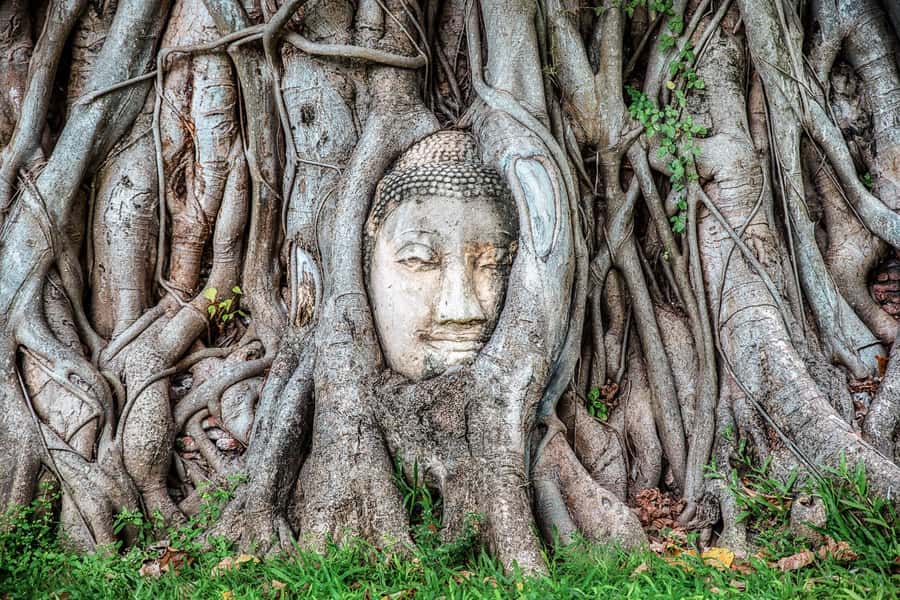 Bangkok: Ayutthaya & Lopburi Monkey Temple Private Day Trip - Wihan Phra Mongkhon Bophit and the giant bronze Buddha