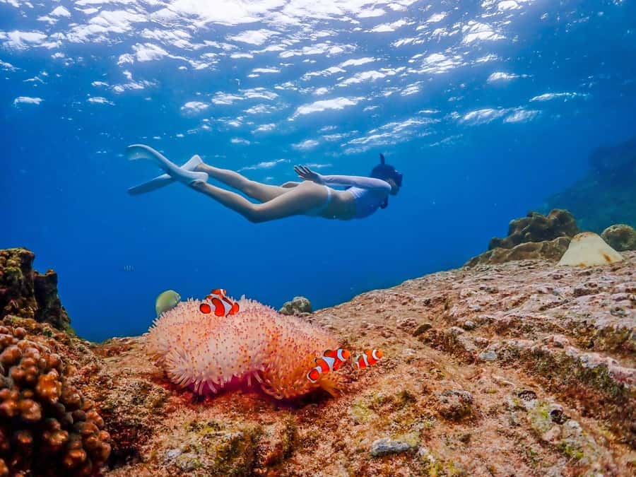 Bangkok: Nemo Island Day Trip with Drone Photos and Lunch - Why Nemo Island works as a Bangkok escape