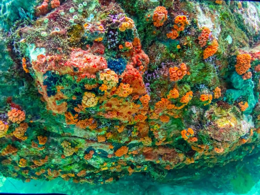 Bangkok: Nemo Island Day Trip with Drone Photos and Lunch - The early van ride from Bangkok