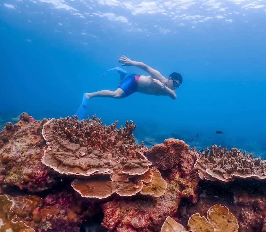 Bangkok: Nemo Island Day Trip with Drone Photos and Lunch - The first Nemo stop at 3 meters