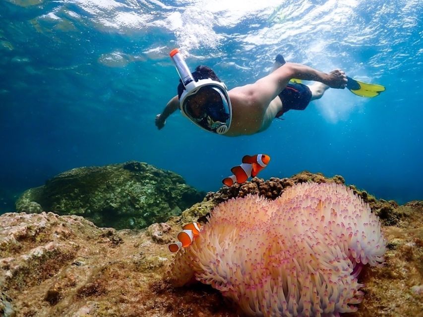 Bangkok: Nemo Island Day Trip with Drone Photos and Lunch - Free photos, video, and the drone promise