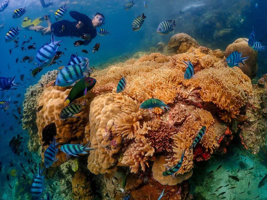 Bangkok: Nemo Island Day Trip with Drone Photos and Lunch - The return to Bangkok