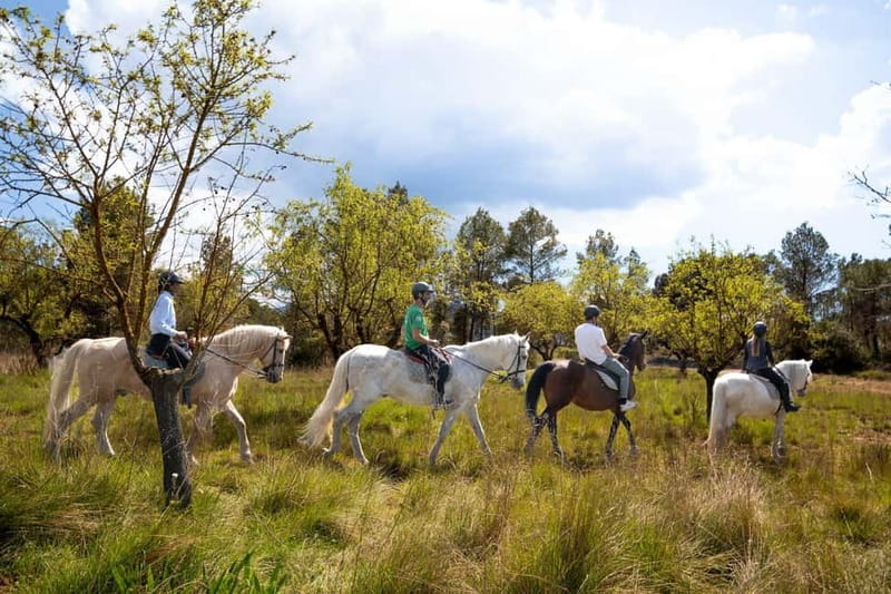 Barcelona: Walking and Horse Riding Day-Trip in Montserrat - Why this Montserrat outing feels different